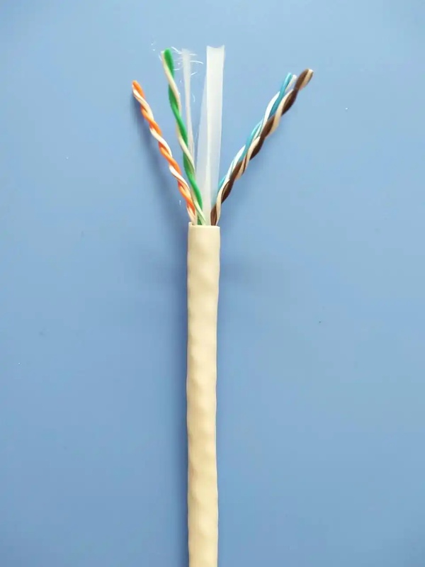 cat6