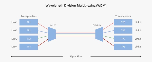 WDM Technology Explained: CWDM DWDM and Optical Fiber Networking Essentials